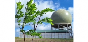 55 nuevos arboles en el Radar en honor a los Caídos en Malvinas