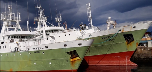 Lacalle Compadre…: el puerto de Uruguay registra nuevo movimiento de buques pesqueros que operan en Malvinas con licencia kelper