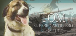 La historia de Tom - El Perro artillero